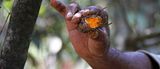sud070.jpg image by indiamylovephotos